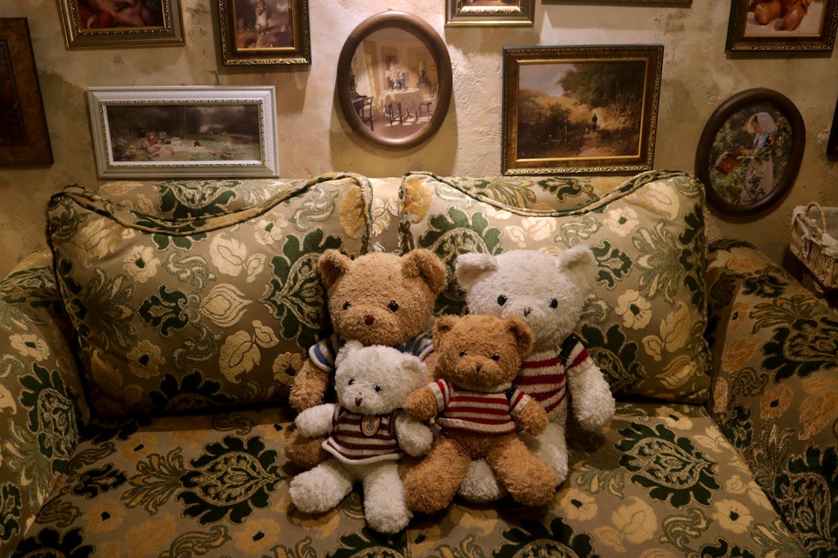 Different sized teddy bears and stuffed animals lined up together for size comparison